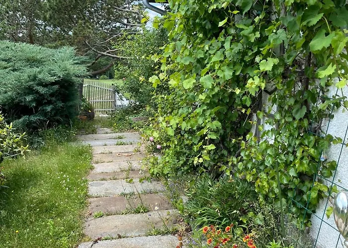 Am Regen - Natur, Ruhig Hébergement de vacances *