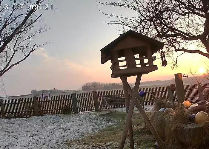 Am Regen - Natur, Ruhig * Reichenbach am Regen